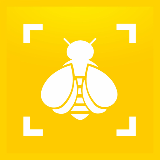 Bumble Bee Watch app icon