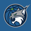 Minnesota Lynx icon