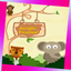 Guess the animal is fun learn english for everyone icon