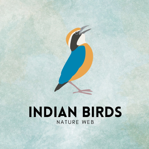 Indian Birds app icon