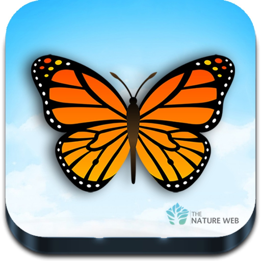 Indian Butterflies app icon