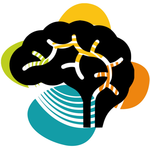 Interactive Brain Activation for fMRI Data app icon