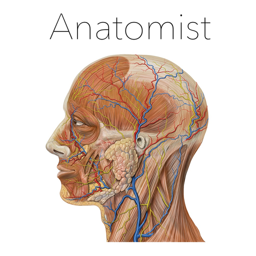 Anatomist – The Anatomy Game app icon
