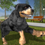 Rottweiler Dog Life Simulator icon