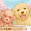 Dog's Life Calendar 狗狗‧生活日誌 icon