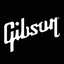 Gibson: Learn to Play Guitar icon