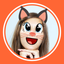 Face Masks Cats, Dog Swap Filters & Stickers icon