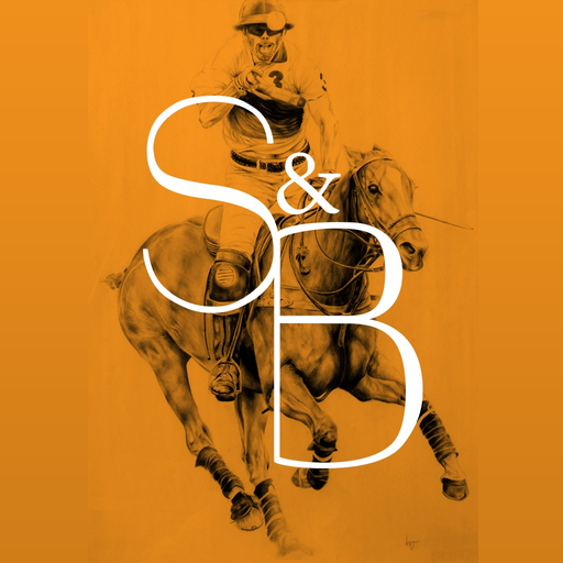 Stick&Ball app icon