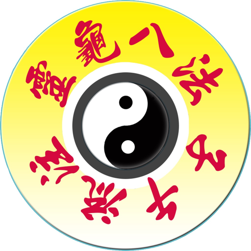 Chrono-Acupuncture Lite app icon