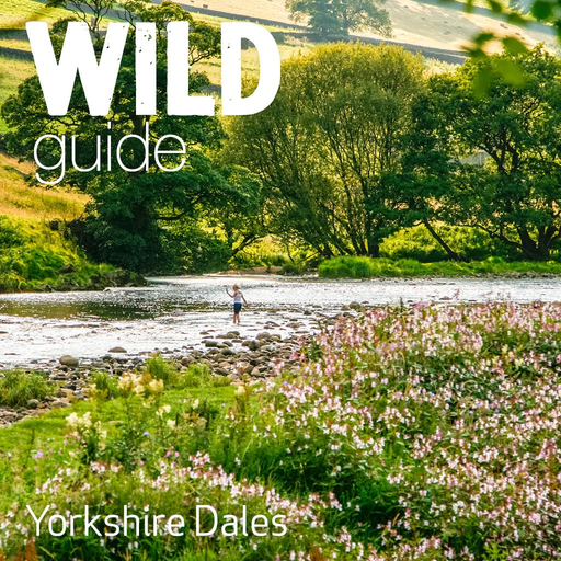 Wild Guide Yorkshire Dales app icon