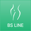 BS 라인(지점) icon