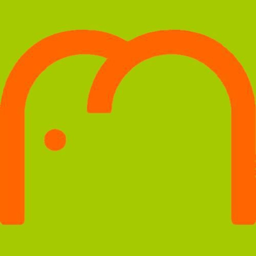 Maxipark app icon
