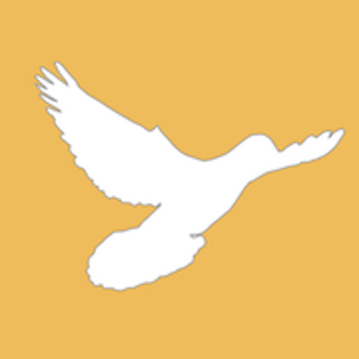 MyPigeon App app icon