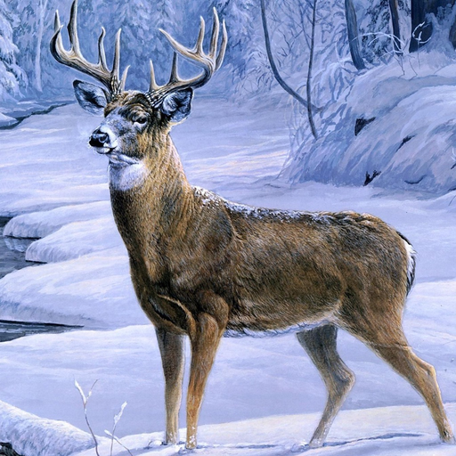 Deer Hunting 3D : Ice Age app icon