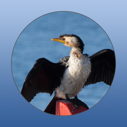 Wildlife Field Guide to Gippsland Lakes app icon