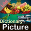 Picture Dictionary Lite icon
