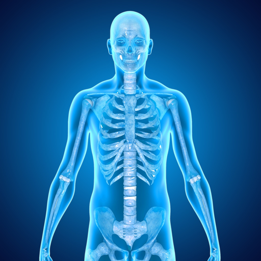 Skeletal System Medical Terms app icon