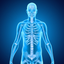 Skeletal System Medical Terms icon