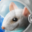 Hi Nano icon