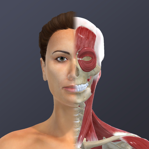 Chronic Migraine Anatomy app icon