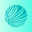 Palmetto Pointe Church icon