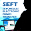 SEFT Mobile icon