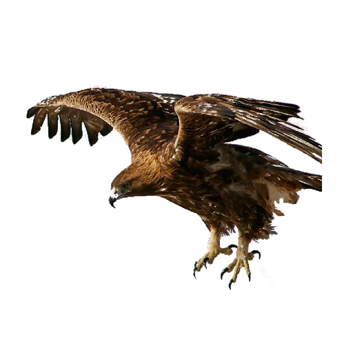 Tierwelt des Alpenraums app icon