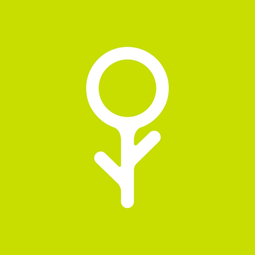 Fliwer app icon