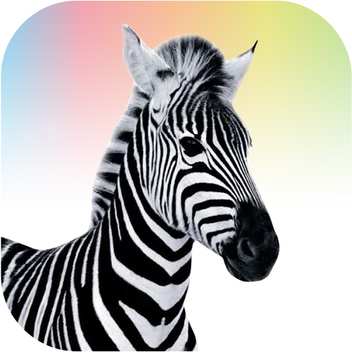 Investec Youth app icon