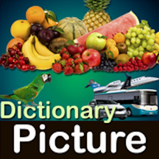 Picture Dictionary - Pro app icon