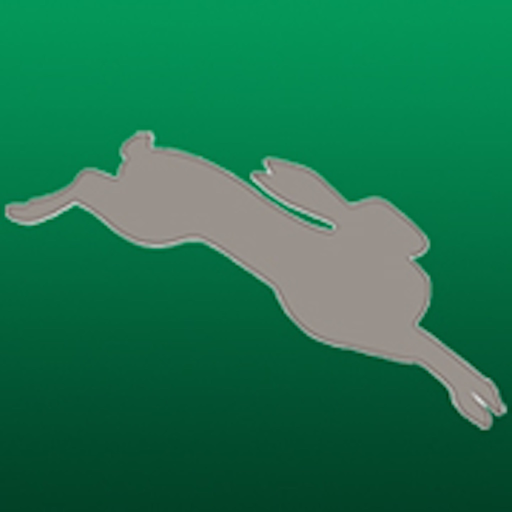 Dancing Rabbit Golf Course app icon