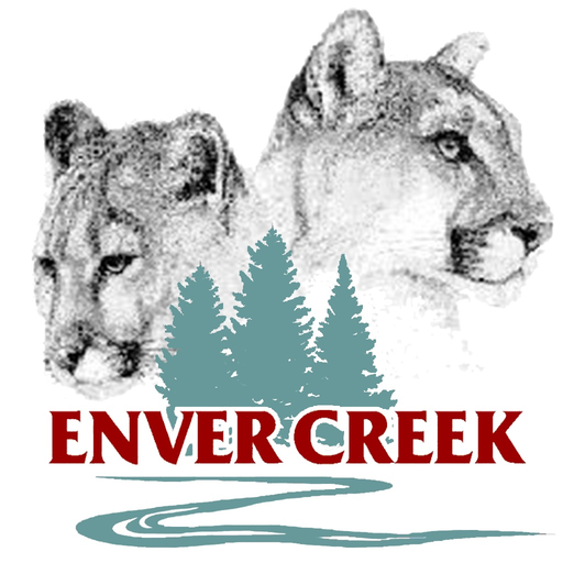 Enver Creek app icon