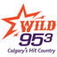 WILD 953 icon