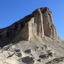 Death Valley Wildflower Search icon
