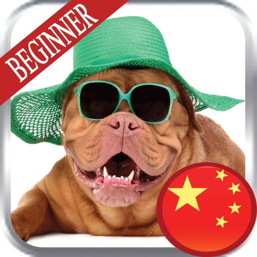 Mandarin Beginner app icon