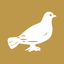 Siasat Daily icon