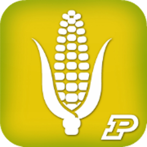 Purdue Extension Corn Field Scout app icon