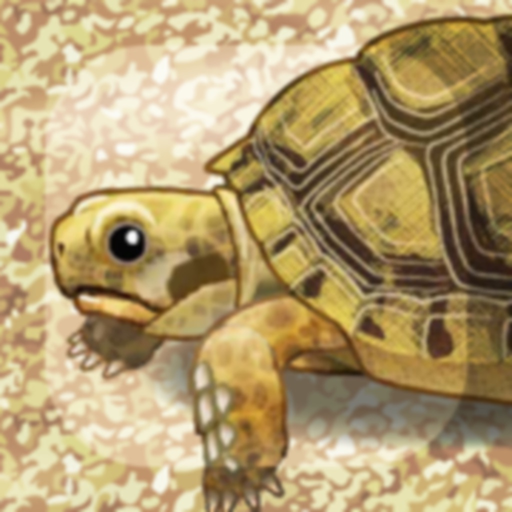 Tortoise Pet app icon