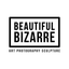 Beautiful Bizarre Magazine icon