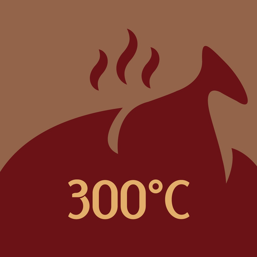 GrillSense app icon