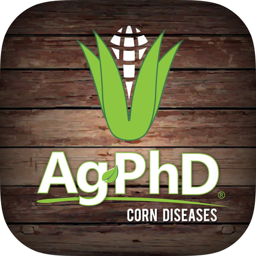 Corn Diseases app icon