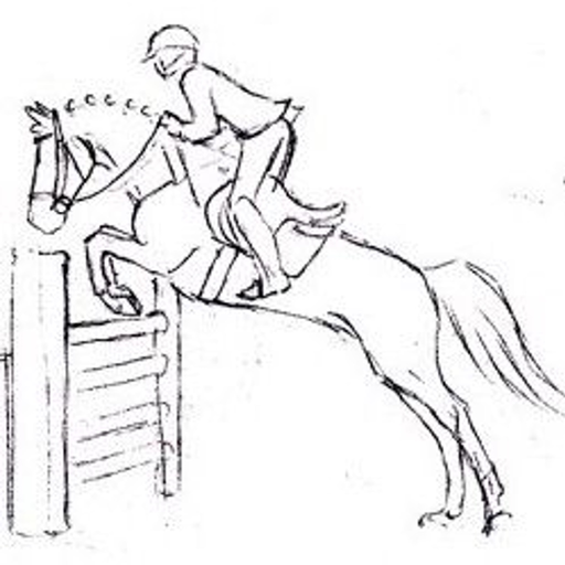 Reitabzeichen Pferdeführerchei app icon