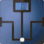 BalanzApp icon