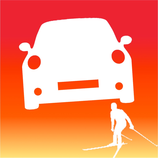 RallyTime Pro: Ski & Rally Car Timing app icon