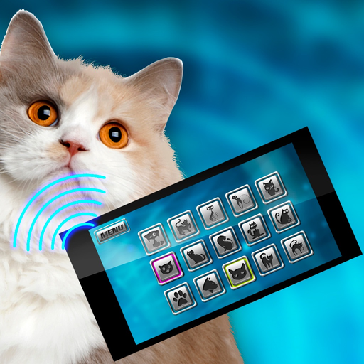 Translator Cat Pet Joke app icon