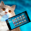 Translator Cat Pet Joke icon