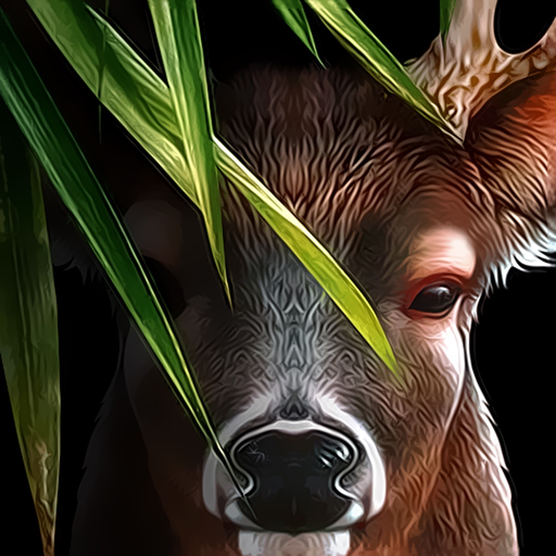 Life Of Deer app icon