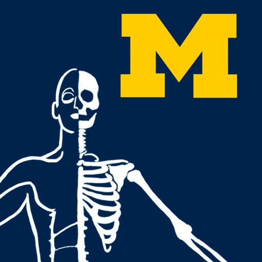MSK Anatomy - SecondLook app icon