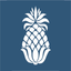 City of Charleston, SC icon