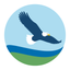 Salt City Federal Credit Union icon